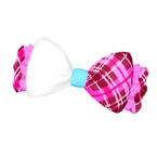 SoLaMi♡SMILE L Team Cyalume Coord