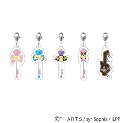 Idol Key | PriPara Wiki | Fandom