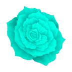 Peppermint Flower Coord