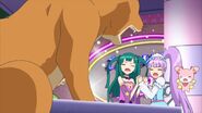 Pripara134-21