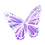 Lavender Butterfly Coord