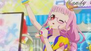 PriPara (126)