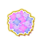 Flower Garden Beauty