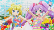 PriPara-08-Performance24