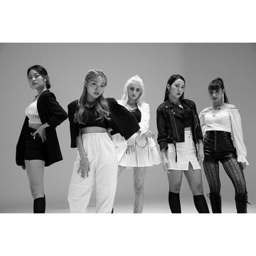 Meet The Members!