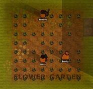 Prisoners tending to the flowers