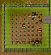 A Farmer running s Flower Therapy session