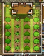 Fruit Orchard.png (467 KB) Fruit Orchard