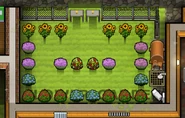 Flower Garden.png (343 KB) Grown Flowering Plants