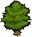 Tree.png