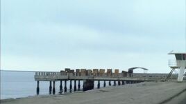 ArlingtonPier