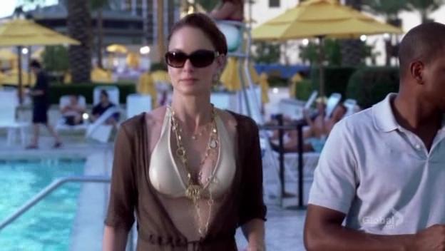 sarah wayne callies prison break hot