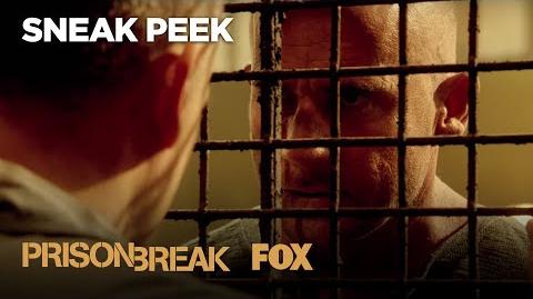 Sneak Peek Season 5 PRISON BREAK