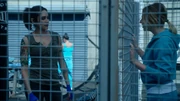 Allie and Franky talk about the gun showing up