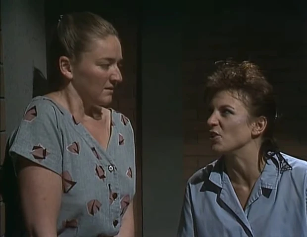 Episode 620 | Prisoner Cell Block H Wiki | Fandom