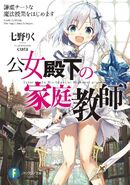 Light Novel volume 1