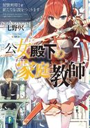 Light Novel volume 2