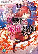 Light Novel Volume 11