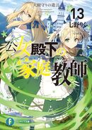 Light Novel Volume 13