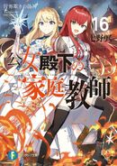 Light Novel Volume 16