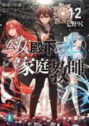 Light Novel Volume 12