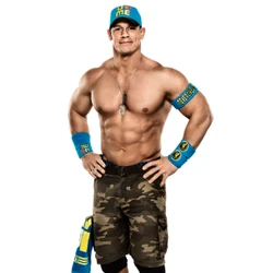 chris jericho 2010 dünya ağır siklet şampiyonu