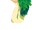 Arbitrari