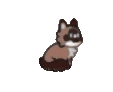 Mittens | Prodigy Game Wiki | Fandom