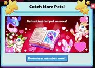 Valentine's Day edition of Membership advertisement