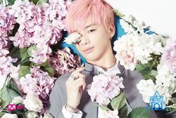 Kang Daniel Produce 101 Wiki Fandom