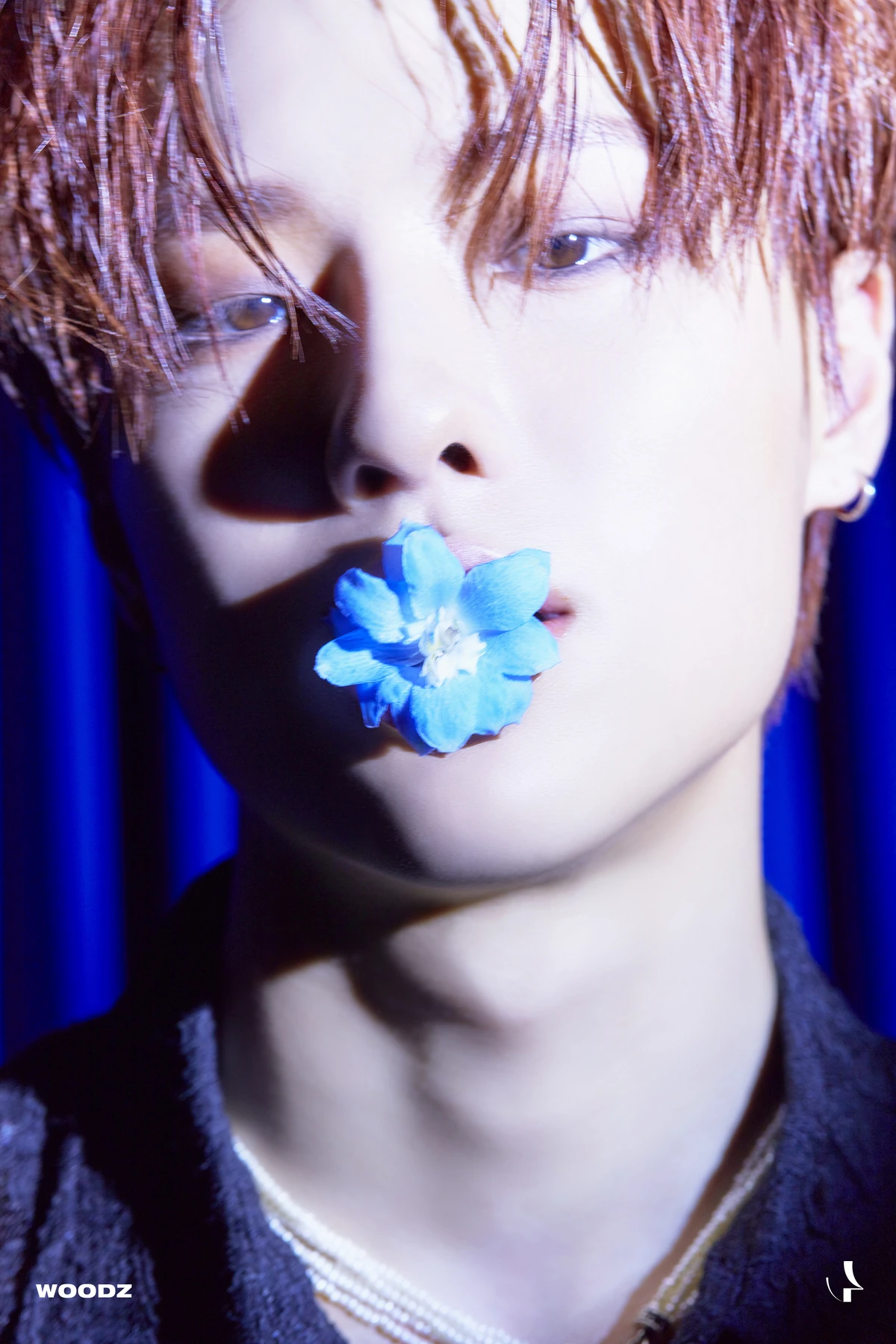 WOODZ | Produce 101 Wiki | Fandom