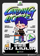 Landing Pass