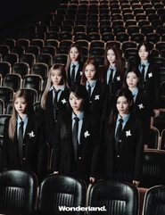 For Wonderland China (2)