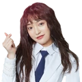 Liu Yulu doki