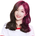 Wu Xuanyi Doki