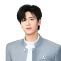 Shen Weibo