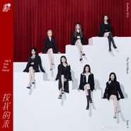 We'll Rule The World Jacket.jpg (438 KB) Cover for "We'll Rule The World"