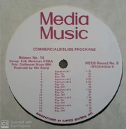 MEQS-Tracks 2.png (400 KB)