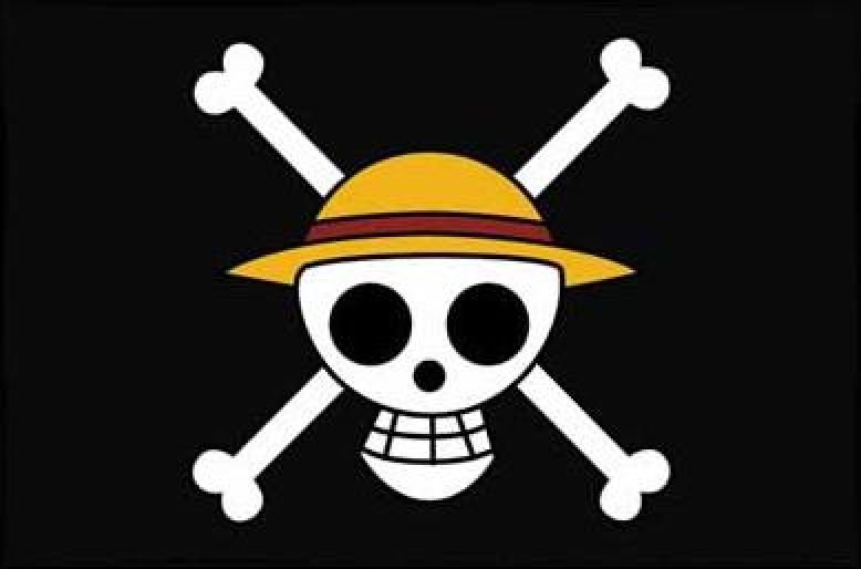 Straw Hat Pirates crew: Members and the order they joined