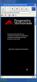 Progressive Microtrends Website