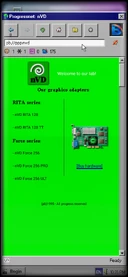 NVD Website (1995)