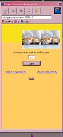 Website about cats