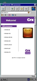 CRX Website (1995)