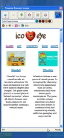 Icoeye website