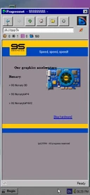 9S Website (1994)