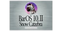 Logo BOS10.II