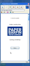 Paper Barfin website
