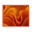 Display Properties BS13