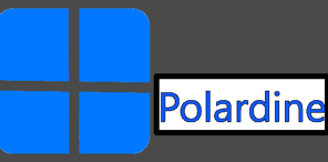 PolarLogo 2012
