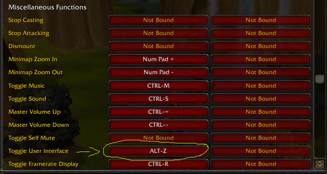 Help! How do I hide my UI in Wow Project Ascension? | Project 